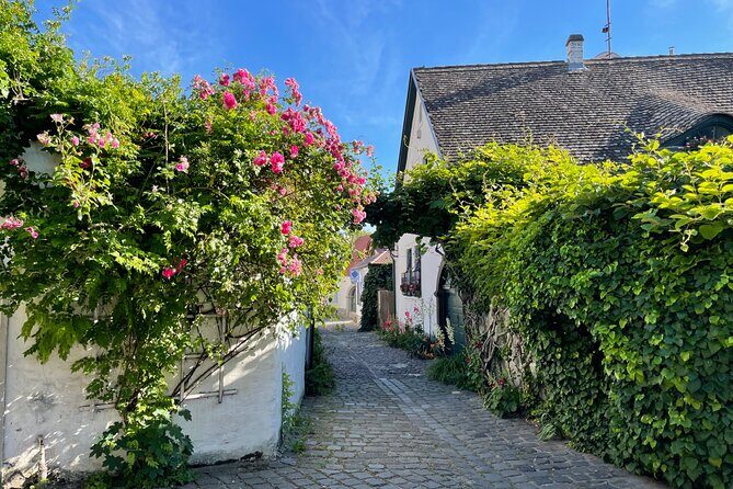 Szentendre Daytrip (Artists' Village) small group - Margit Kovács Museum and the art angle you’ll actually care about