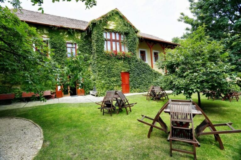 Tokaj: Classic Wine Tasting - The 500-year-old cellar tied to King János Szapolyai