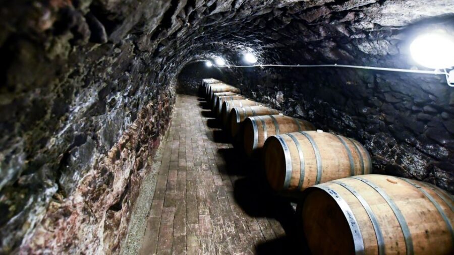Tokaj: Vineyard Tour & Tasting - Key Things I’d Book This For