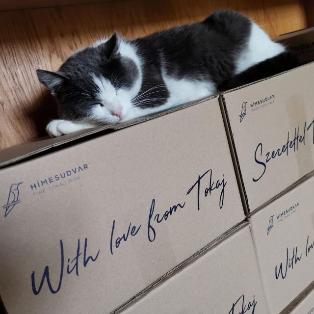 Tokaj: Vineyard Tour & Tasting - Who This Tour Suits Best (And Who Might Want Something Else)